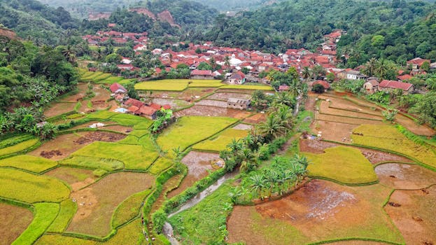 Aerial view of Rumpin's lush rice terraces and traditional village in Indonesia.